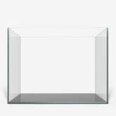 CLEAR 2420 PLUS Edition