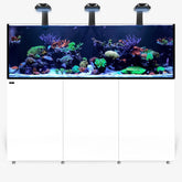 INFINIA Reef 230.6 PLUS Edition