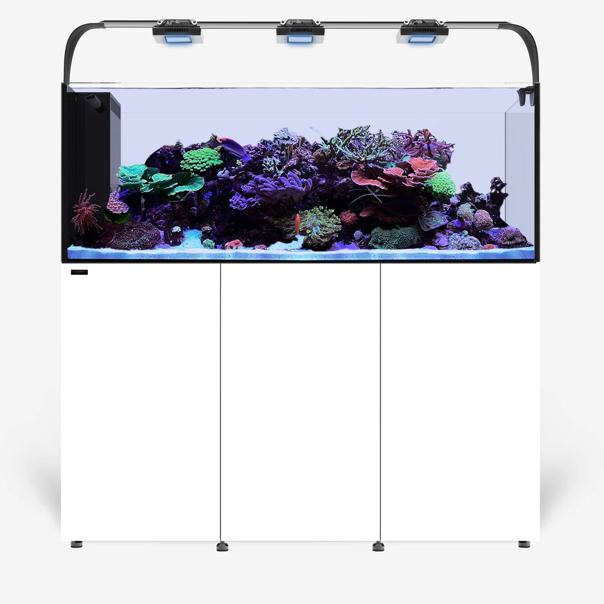INFINIA PENINSULA 6025 PLUS Edition