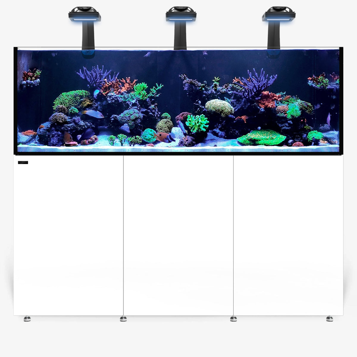 INFINIA Reef 230.6 PLUS Edition