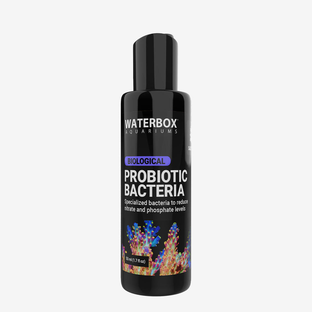 Probiotic Bacteria