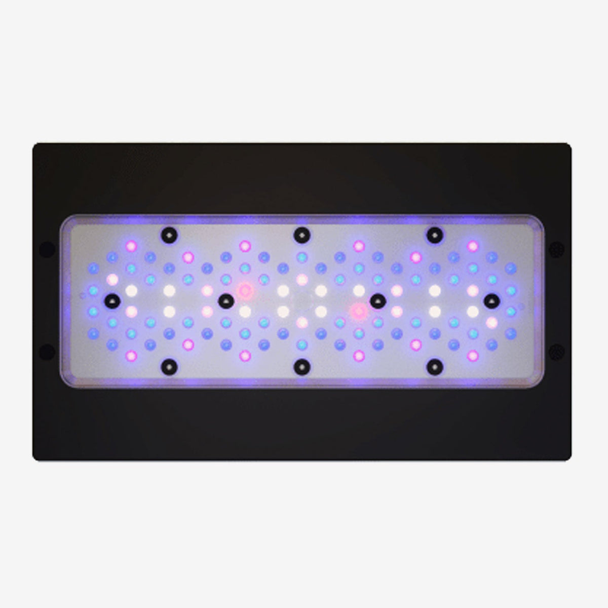 Radion XR30 G6 Blue