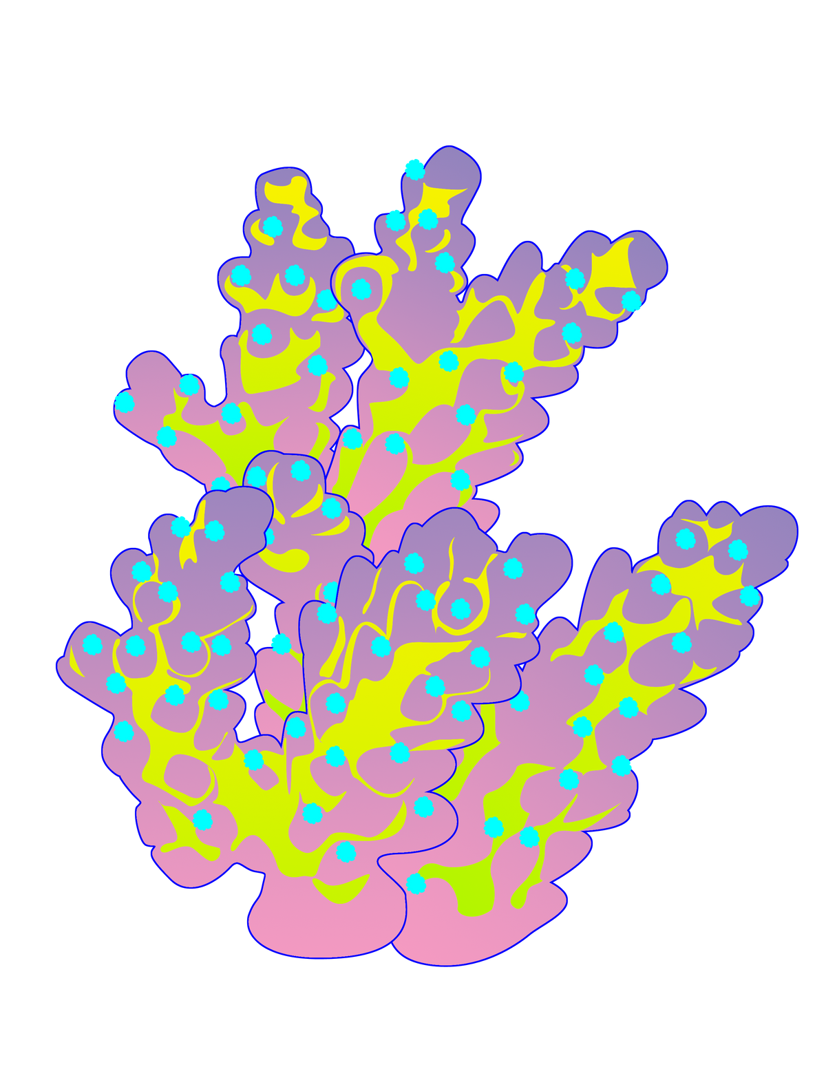 SPS Frag