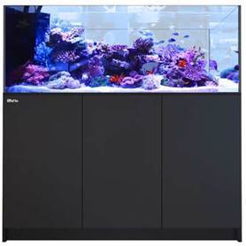 Reefer Peninsula P650 - 173 Gallon Complete System Black - Red Sea